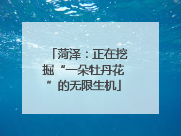 菏泽：正在挖掘“一朵牡丹花”的无限生机