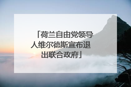 荷兰自由党领导人维尔德斯宣布退出联合政府
