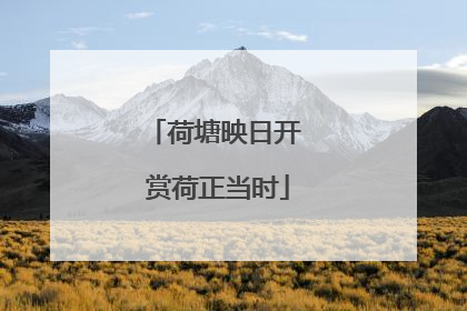 荷塘映日开 赏荷正当时