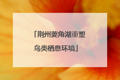 荆州菱角湖重塑鸟类栖息环境