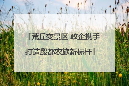 荒丘变景区 政企携手打造殷都农旅新标杆