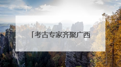 考古专家齐聚广西柳州 探讨南方史前文化发展脉络