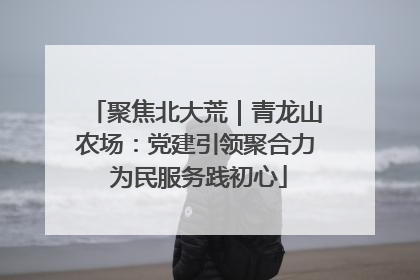 聚焦北大荒｜青龙山农场：党建引领聚合力 为民服务践初心