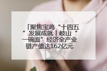 聚焦宝鸡“十四五”发展成就丨岐山“一碗面”经济全产业链产值达162亿元 入选全国典型县
