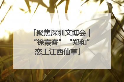 聚焦深圳文博会｜“徐霞客”“郑和”恋上江西仙草