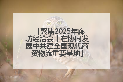 聚焦2025年廊坊经洽会丨在协同发展中共建全国现代商贸物流重要基地