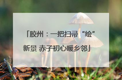 胶州：一把扫帚“绘”新景 赤子初心暖乡邻