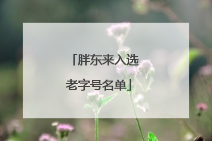 胖东来入选老字号名单