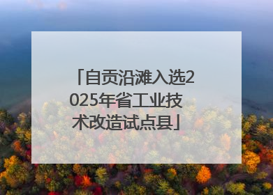 自贡沿滩入选2025年省工业技术改造试点县