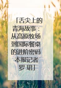 舌尖上的青海故事：从高原牧场到国际餐桌的进阶密码 本报记者 罗 珺