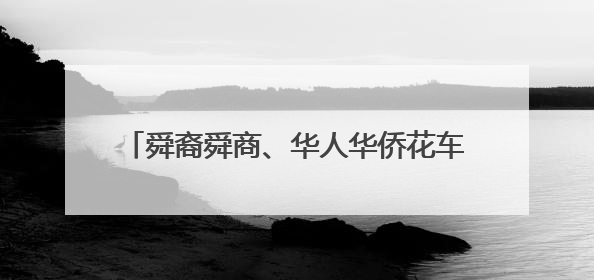 舜裔舜商、华人华侨花车巡游、文化踩街点亮宁远