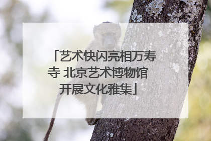 艺术快闪亮相万寿寺 北京艺术博物馆开展文化雅集