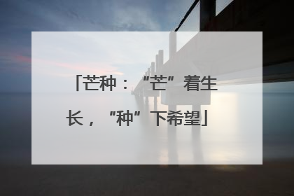 芒种：“芒”着生长，“种”下希望