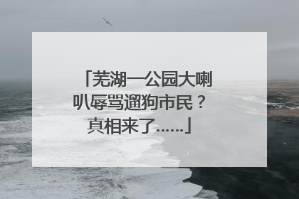 芜湖一公园大喇叭辱骂遛狗市民？真相来了……