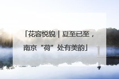 花容悦貌｜夏至已至，南京“荷”处有美韵