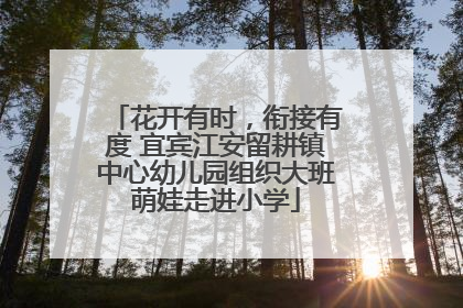 花开有时，衔接有度 宜宾江安留耕镇中心幼儿园组织大班萌娃走进小学