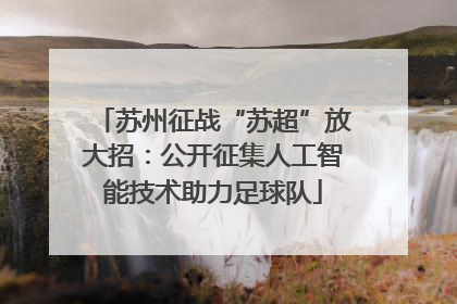 苏州征战“苏超”放大招：公开征集人工智能技术助力足球队