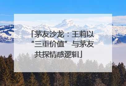 茅友沙龙：王莉以“三重价值”与茅友共探情感逻辑