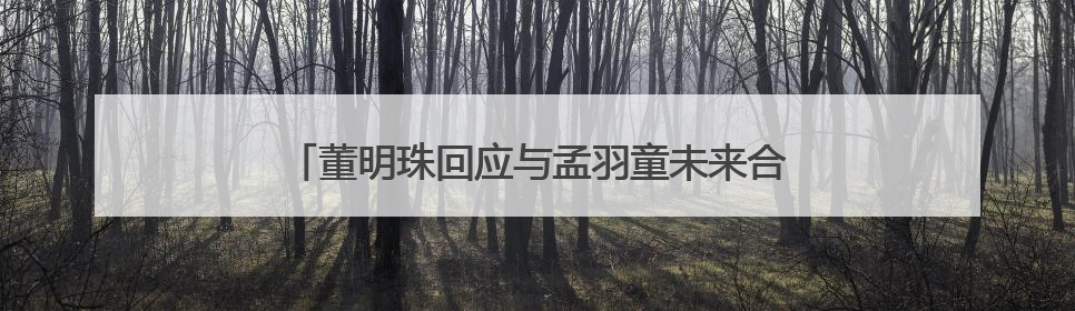 董明珠回应与孟羽童未来合作计划：我们一直在合作