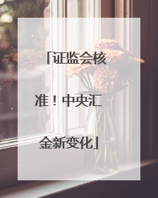 证监会核准！中央汇金新变化