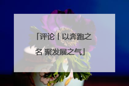 评论丨以奔跑之名 聚发展之气
