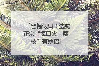 警惕假冒！选购正宗“海口火山荔枝”有妙招