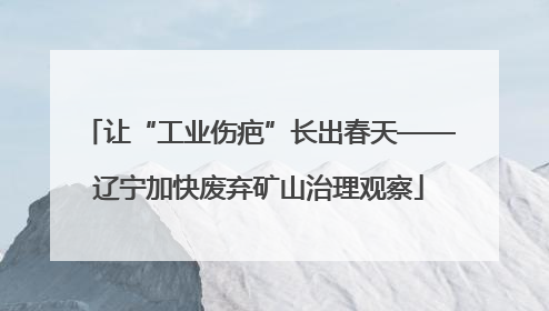 让“工业伤疤”长出春天——辽宁加快废弃矿山治理观察