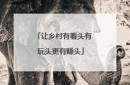 让乡村有看头有玩头更有赚头