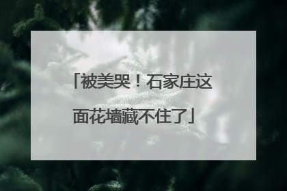 被美哭！石家庄这面花墙藏不住了