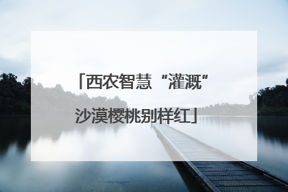 西农智慧“灌溉” 沙漠樱桃别样红