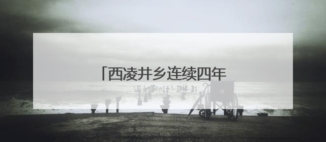 西凌井乡连续四年举办经验交流会