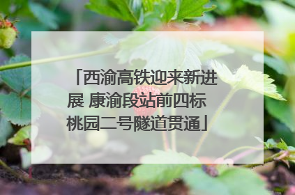 西渝高铁迎来新进展 康渝段站前四标桃园二号隧道贯通