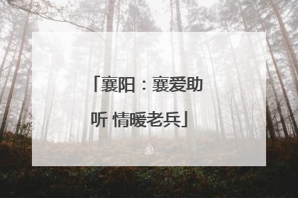 襄阳：襄爱助听 情暖老兵