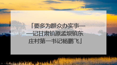 要多为群众办实事——记甘肃镇原孟坝镇东庄村第一书记杨鹏飞