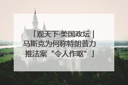观天下·美国政坛｜马斯克为何称特朗普力推法案“令人作呕”