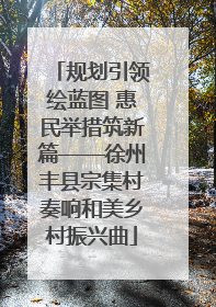 规划引领绘蓝图 惠民举措筑新篇——徐州丰县宗集村奏响和美乡村振兴曲