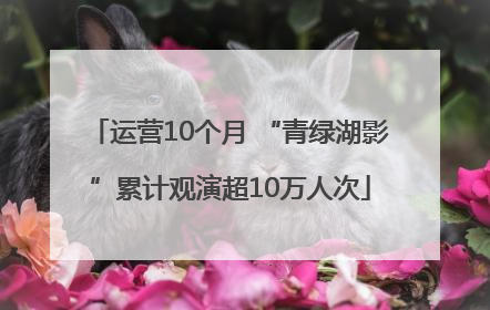 运营10个月 “青绿湖影”累计观演超10万人次