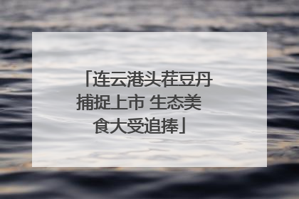 连云港头茬豆丹捕捉上市 生态美食大受追捧
