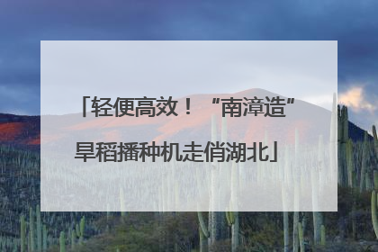 轻便高效！“南漳造”旱稻播种机走俏湖北