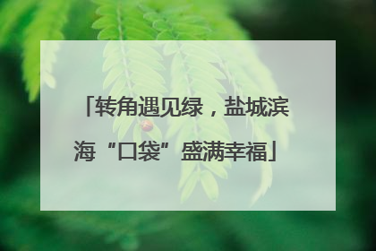转角遇见绿，盐城滨海“口袋”盛满幸福