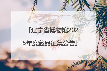 辽宁省博物馆2025年度藏品征集公告
