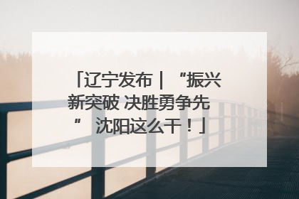 辽宁发布｜“振兴新突破 决胜勇争先” 沈阳这么干！