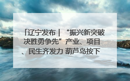 辽宁发布｜“振兴新突破 决胜勇争先”产业、项目、民生齐发力 葫芦岛按下决胜之年“加速键”