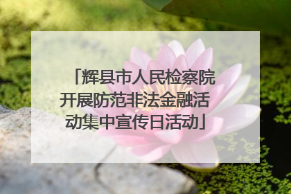辉县市人民检察院开展防范非法金融活动集中宣传日活动