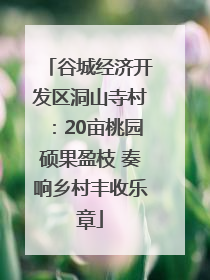 谷城经济开发区洞山寺村：20亩桃园硕果盈枝 奏响乡村丰收乐章