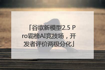 谷歌新模型2.5 Pro霸榜AI竞技场，开发者评价两极分化