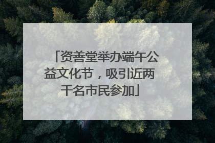 资善堂举办端午公益文化节，吸引近两千名市民参加