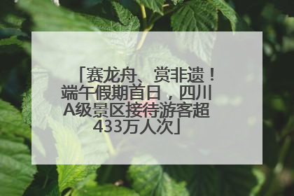赛龙舟、赏非遗！端午假期首日，四川A级景区接待游客超433万人次