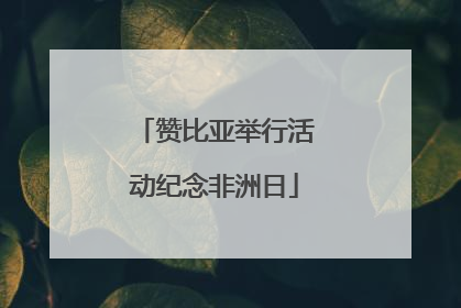 赞比亚举行活动纪念非洲日