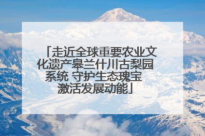 走近全球重要农业文化遗产皋兰什川古梨园系统 守护生态瑰宝 激活发展动能